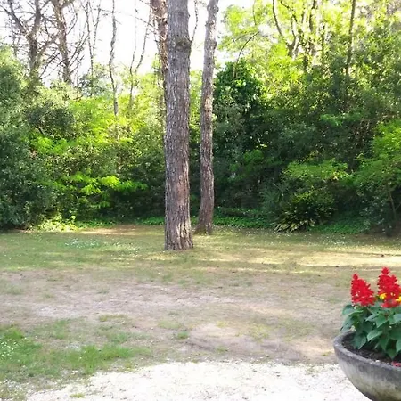 Apartment Speltri Al Mare *